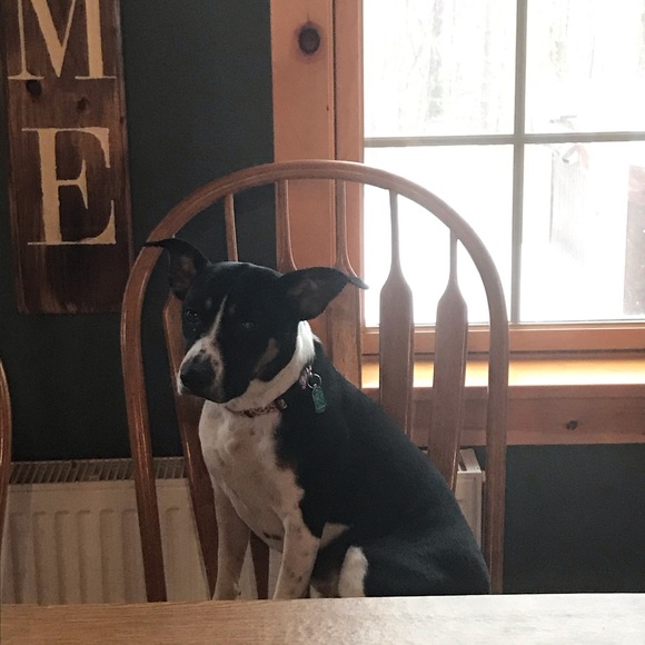 Meet your Posher, Vanessa - Picture 2 of 2